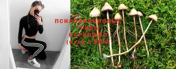 ECSTASY Осинники