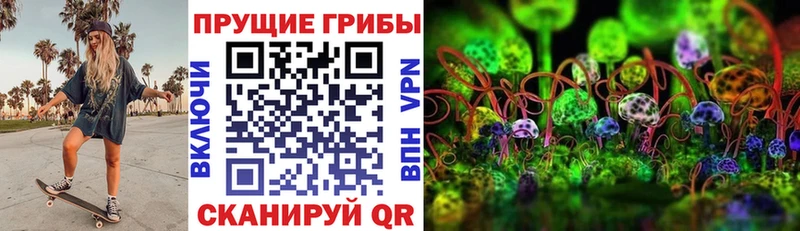 Галлюциногенные грибы прущие грибы  цены   kraken tor  Шарыпово 